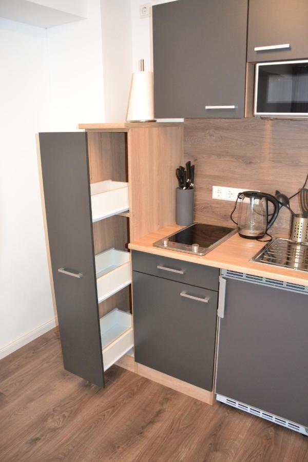 Sophie Deluxe Apartment Карлсруе Екстер'єр фото